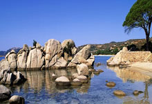 国足抵达杭州球迷热情接机 国脚表情严肃拘谨(图).